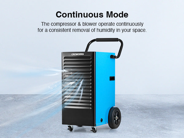 Powerful Dehumidification Capacity